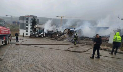 Dilovası’nda Ağıl Yangını: Yüzlerce Hayvan Telef Oldu