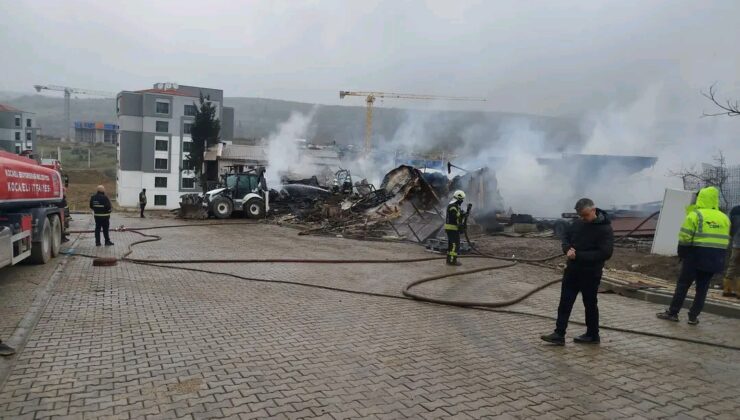 Dilovası’nda Ağıl Yangını: Yüzlerce Hayvan Telef Oldu