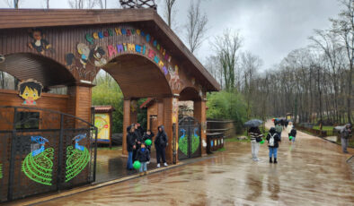 Ormanya Kamp Alanına Yoğun İlgi
