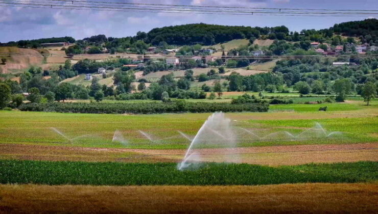 Kocaeli’de Kırsal Kalkınma Devrimi: 7 Yılda 1.5 Milyar TL Destek!