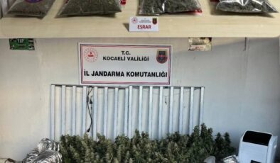 KOCAELİ’DE UYUŞTURUCU SERALARINA JANDARMA DARBESİ: 3 TUTUKLAMA!