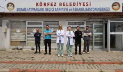 Körfez’den Bir Güzel Haber Daha: ‘Kral’ Hayata Tutundu!