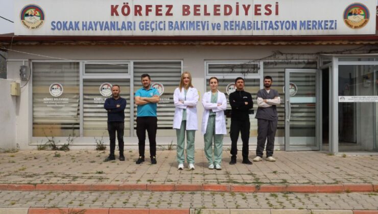 Körfez’den Bir Güzel Haber Daha: ‘Kral’ Hayata Tutundu!