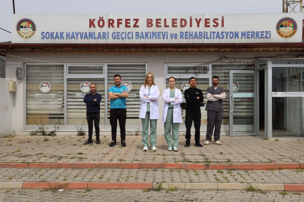 KÖRFEZ BELEDİYESİNDE KEDİYE ÖNEMLİ OPERASYON YAPILDI