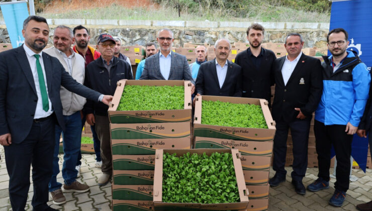 Kocaeli Çiftçisine Dev Müjde: Yüzde 75 Hibeli Sebze Fidesi Desteği Başladı!