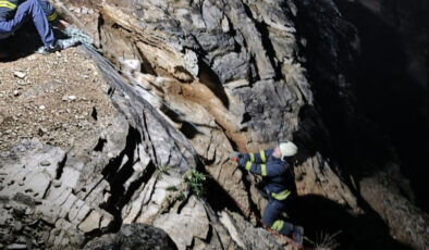 NEFES KESEN KEÇİ OPERASYONU