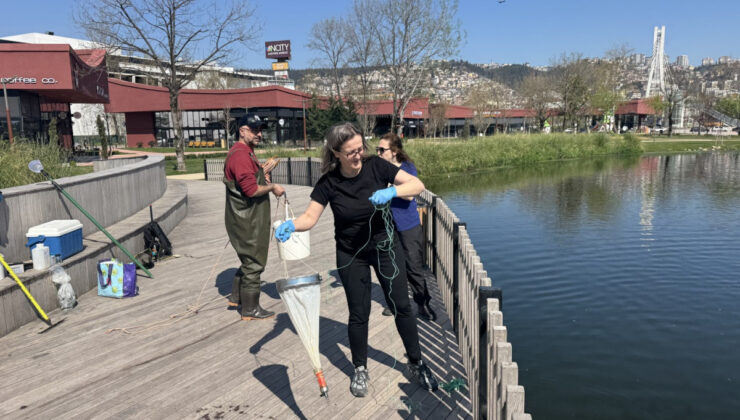 İzmit Millet Bahçesi’nde su göletine bilimsel çalışma
