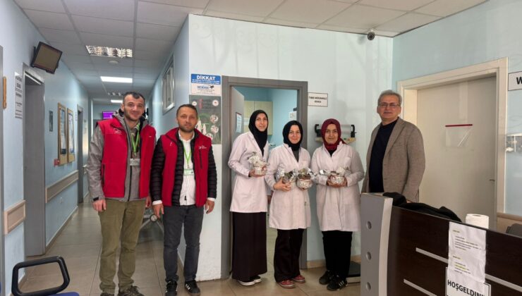 İzmit’in Fedakar Ebelerine Belediye Seralarından Renkli Sürpriz