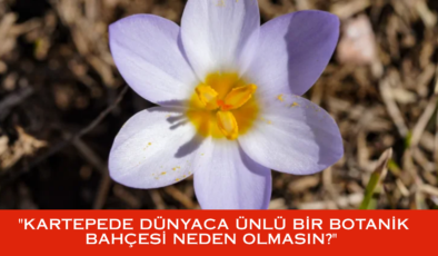 TESCİLLİ DEĞERİMİZ VAR, NEDEN BAHÇEMİZ YOK? KARTEPE’YE BOTANİK YAKIŞIR!