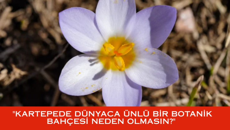 TESCİLLİ DEĞERİMİZ VAR, NEDEN BAHÇEMİZ YOK? KARTEPE’YE BOTANİK YAKIŞIR!