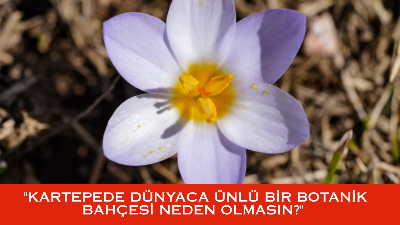 TESCİLLİ DEĞERİMİZ VAR, NEDEN BAHÇEMİZ YOK? KARTEPE’YE BOTANİK YAKIŞIR!