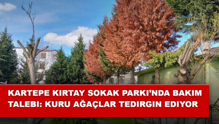 Kartepe Kırtay Sokak Parkı’nda Bakım Talebi: Kuru Ağaçlar Tedirgin Ediyor
