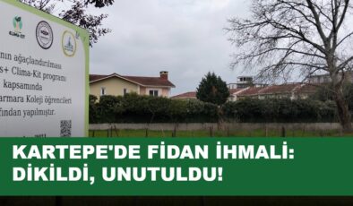 Kartepe’de “Dik-Bırak” Ağaçlandırma: Fidanlar Kaderine Terk Edildi
