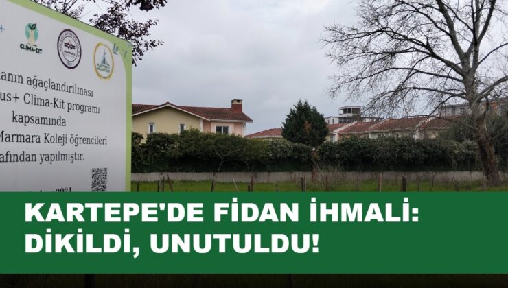 Kartepe’de “Dik-Bırak” Ağaçlandırma: Fidanlar Kaderine Terk Edildi