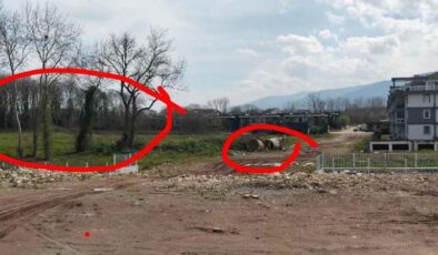 Ballıca Sokak Unutuldu mu? Vatandaştan Yetkililere Çağrı