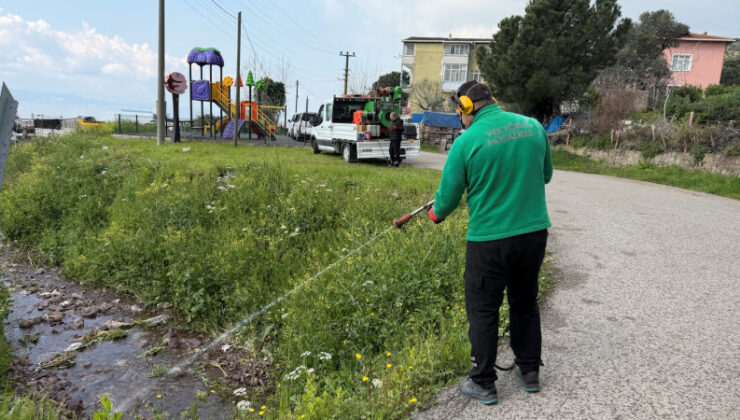 Kocaelide Vektörle Mücadele Başladı