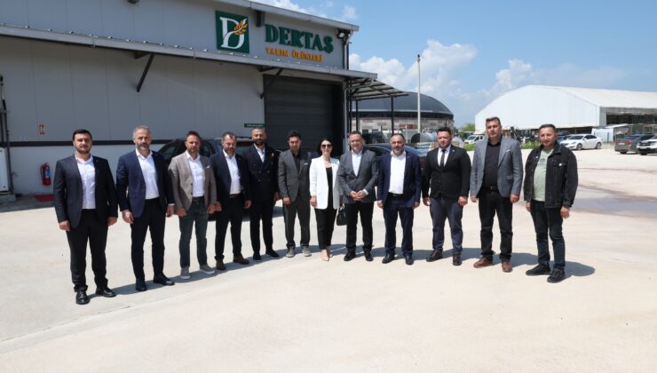 Derincede  Ortak Akıl Zirvesi: Başkan Gökçe Yatırımları İlçe Başkanlarıyla İnceledi
