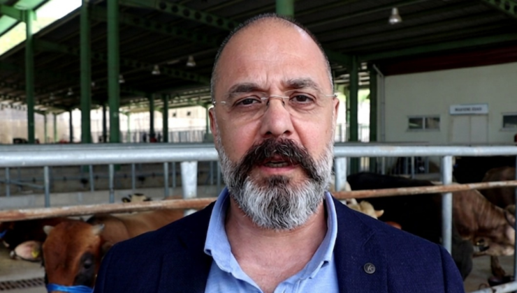 İZMİT’TE BAYRAM HAZIRLIĞI: MODERN HAYVAN PAZARI KAPILARINI AÇTI