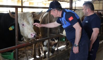 Kartepe’de Kurban Önlemleri Üst Seviyede: 120 Nokta Denetleniyor, Uymayanlara Ceza Var!