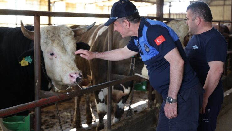 Kartepe’de Kurban Önlemleri Üst Seviyede: 120 Nokta Denetleniyor, Uymayanlara Ceza Var!