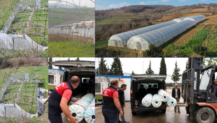 BÜYÜKŞEHİR’DEN ÜRETİCİYE CAN SUYU: 244 ÇİFTÇİYE %75 HİBELİ SERA NAYLONU DESTEĞİ