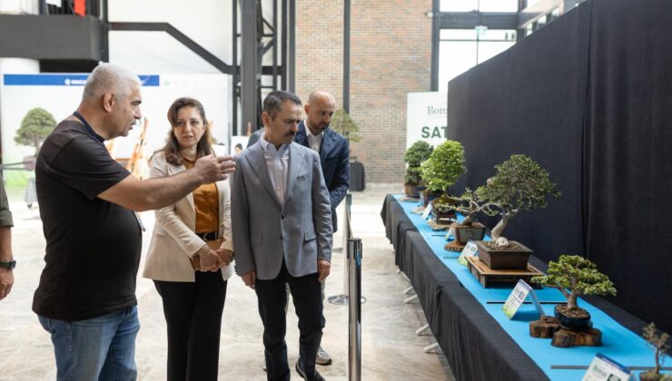Kocaeli’de Sanatın Minyatür Hali: 6. Ulusal Bonsai Sergisi Kapılarını Açtı