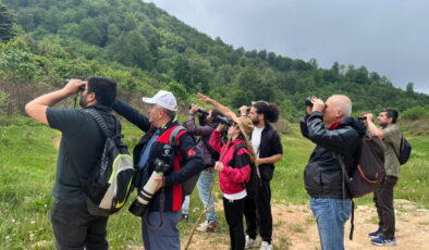 Kuzuyayla’nın Biyoçeşitliliği Adım Adım İncelendi: 109 Tür Kayıt Altında