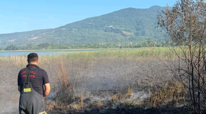 ​Kartepe Maşukiye’de Sazlık Yangını Kontrol Altına Alındı