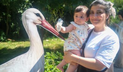 Kocaeli’nin Yeni Maskotu “Atlas”: Ormanya’da Yavru Leylek İçin Yaş Günü Etkinliği