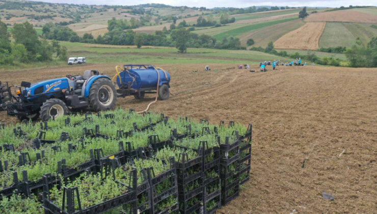 Kocaeli’de Tarımın Yeni Hikâyesi: 98 Farklı Projeyle 1,5 Milyarlık Dev Yatırım!