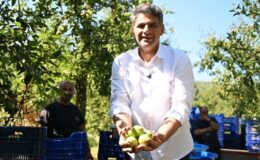 Başkan Kocaman’dan Maşukiye’deki Armut Şenliği ve Samida Konserine Davet