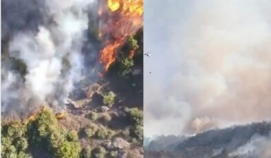 GEBZE’DEKİ ORMAN YANGINI KONTROL ALTINA ALINDI