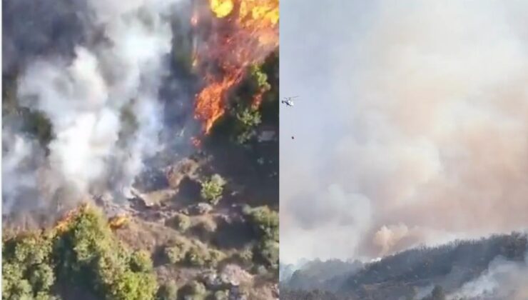 GEBZE’DEKİ ORMAN YANGINI KONTROL ALTINA ALINDI