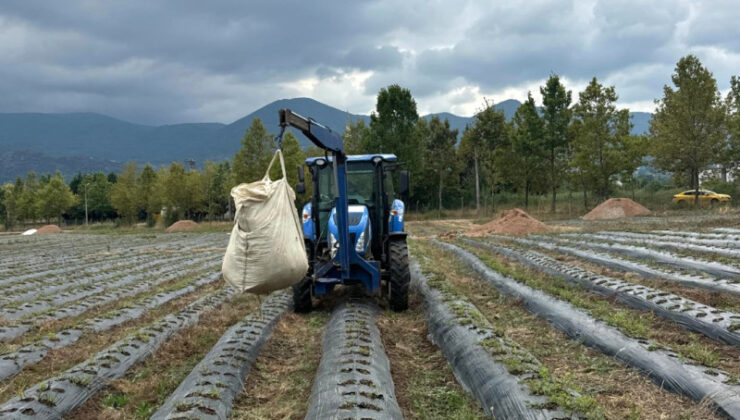 TABİP’te Üretimden Markalaşmaya Uzanan Hasat