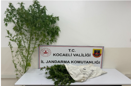 Kartepe’de Jandarmadan Başarılı Uyuşturucu Operasyonu: 3.5 Kilodan Fazla Esrar Ele Geçirildi